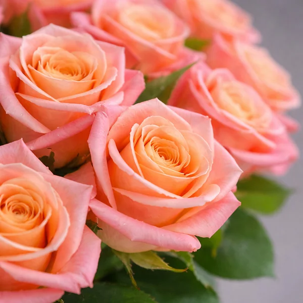 Букет персиковых роз - Мисс Пигги